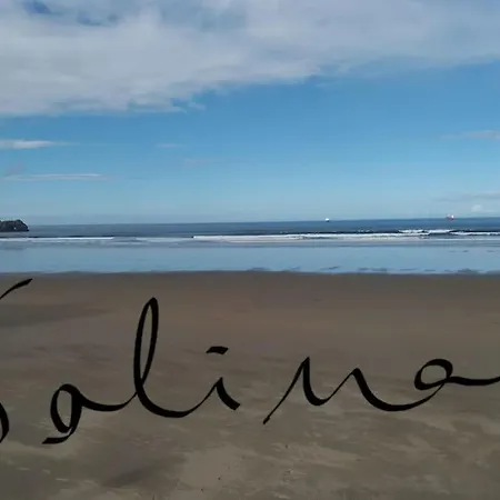 Arte Y Playa *